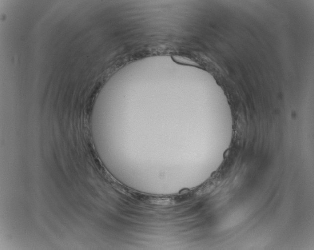 X0000068770659200604281019