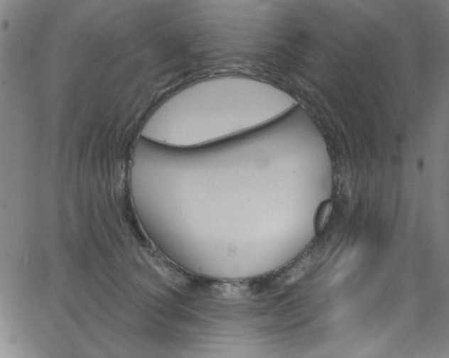 X0000068770660200604281019