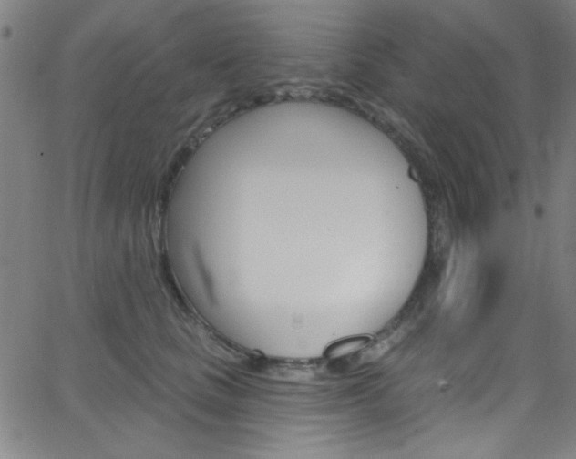 X0000068770661200604281019