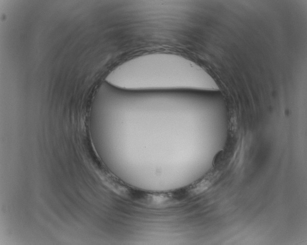 X0000068770662200604281019