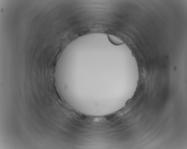 X0000068770663200604281019