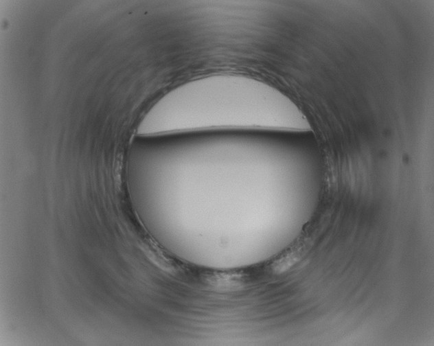 X0000068770664200604281019