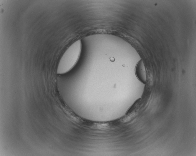 X0000068770665200604281019