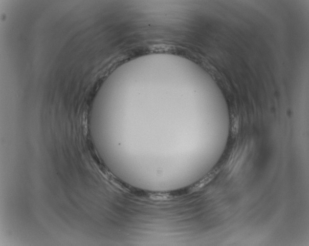 X0000068770666200604281019