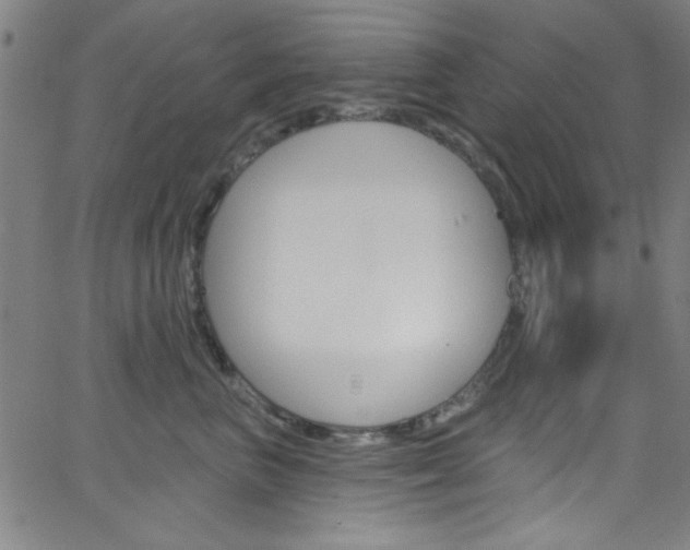 X0000068770667200604281019