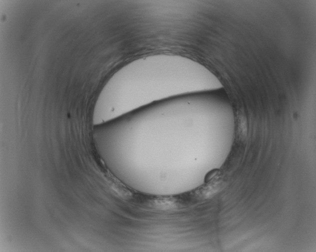 X0000068770668200604281019