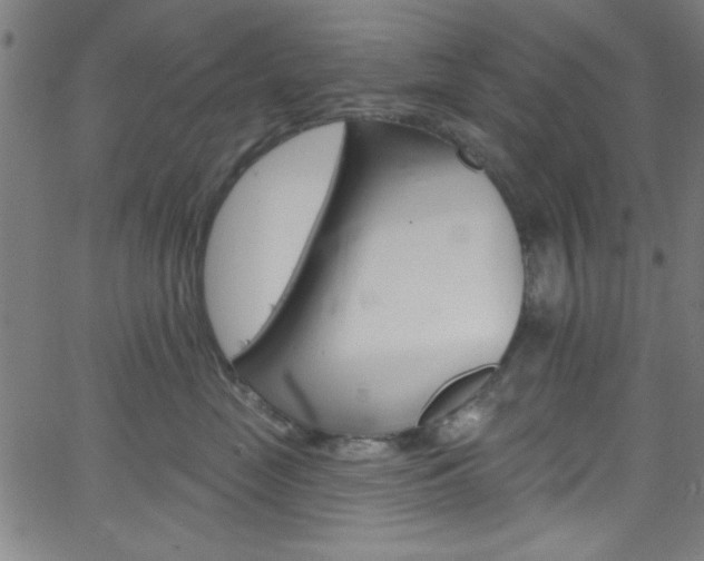 X0000068770669200604281019