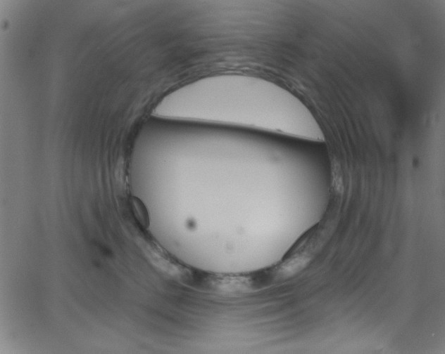 X0000068770670200604281019