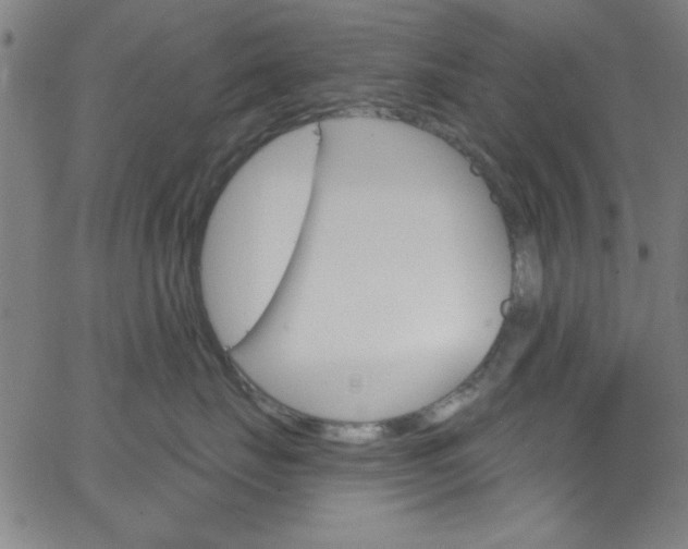 X0000068770671200604281019