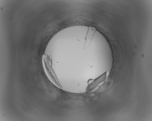 X0000068770672200604281019