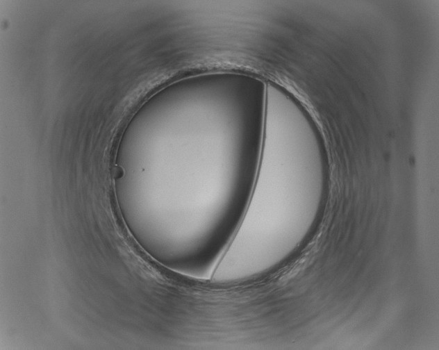 X0000068770673200604281018