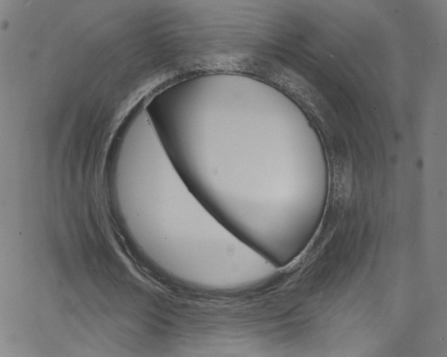 X0000068770674200604281018