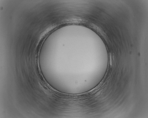 X0000068770675200604281018