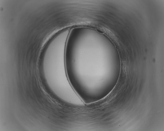 X0000068770676200604281018