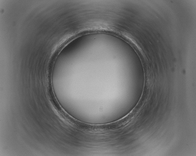 X0000068770677200604281018