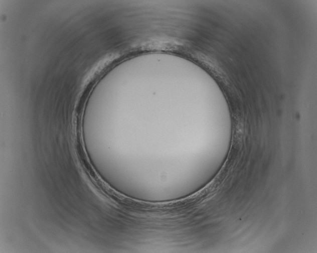 X0000068770678200604281018