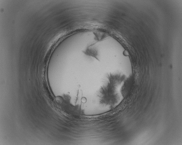 X0000068770679200604281018