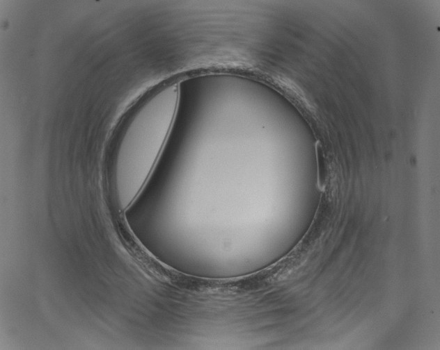 X0000068770680200604281018