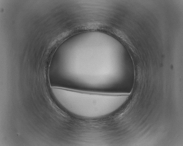 X0000068770681200604281018