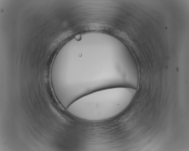 X0000068770683200604281018