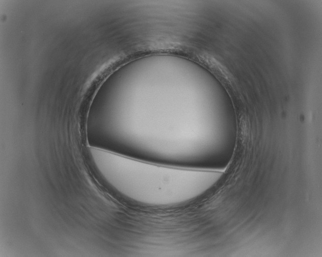 X0000068770684200604281018