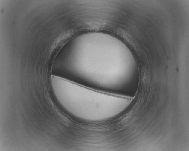 X0000068770685200604281018