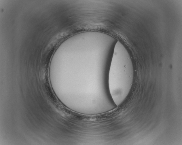 X0000068770687200604281018