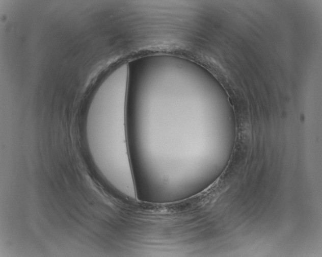 X0000068770688200604281018