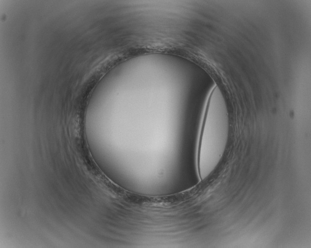 X0000068770689200604281018