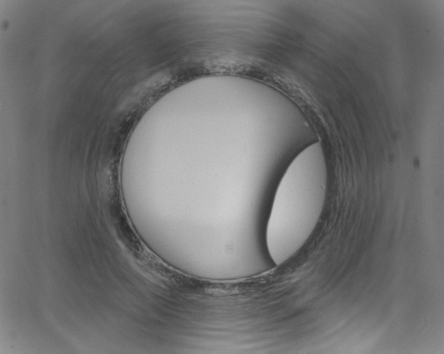 X0000068770690200604281018