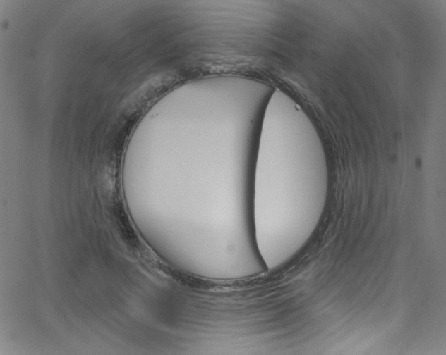 X0000068770691200604281018