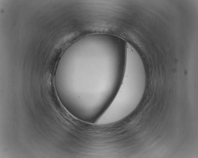 X0000068770692200604281018