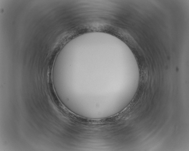 X0000068770694200604281018