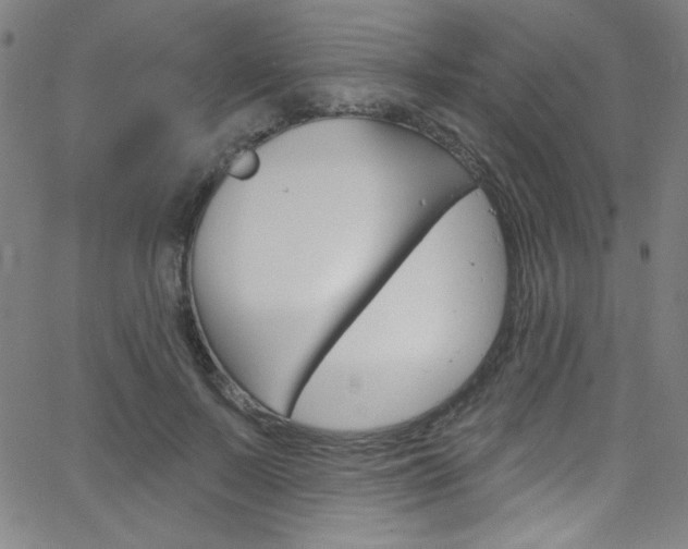 X0000068770695200604281018