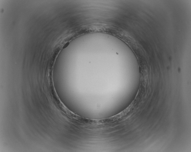 X0000068770696200604281018