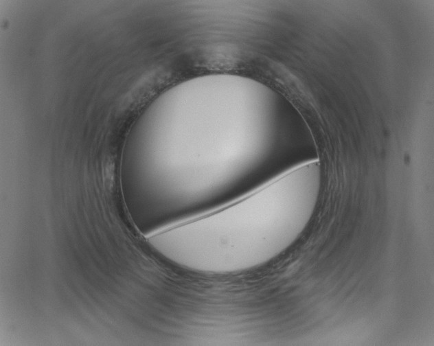 X0000068770697200604281018