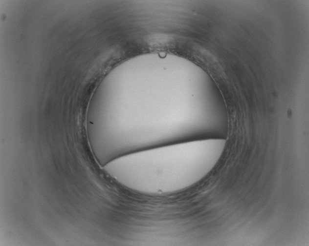 X0000068770698200604281018