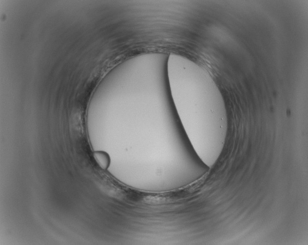 X0000068770699200604281018