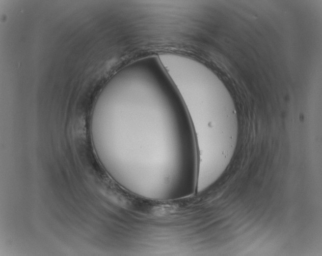 X0000068770700200604281018