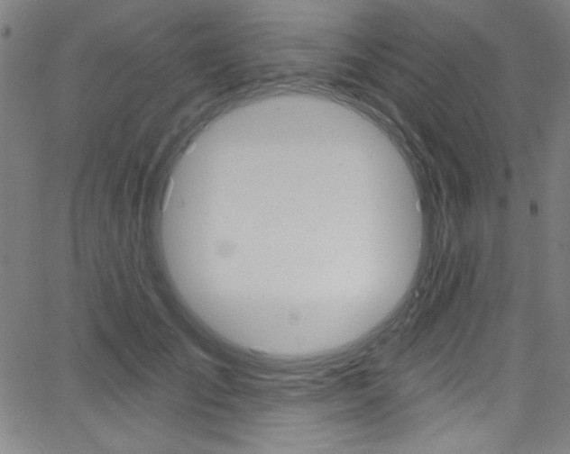 X0000068770701200604281018