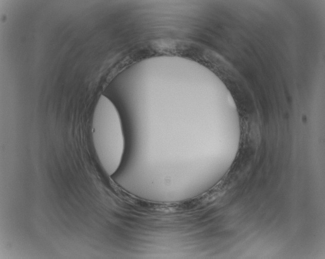 X0000068770702200604281018