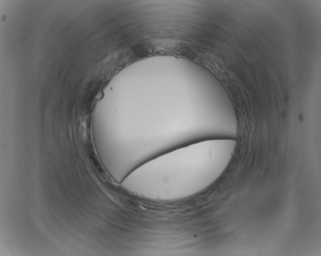 X0000068770703200604281018