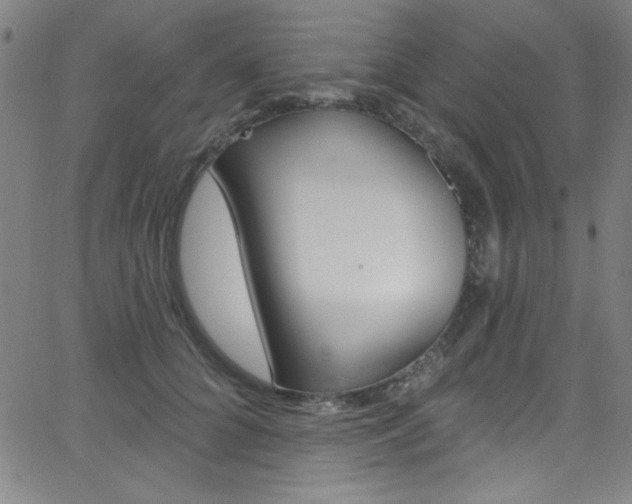 X0000068770704200604281018