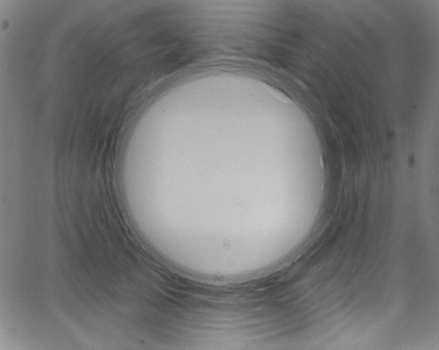 X0000068770705200604281018