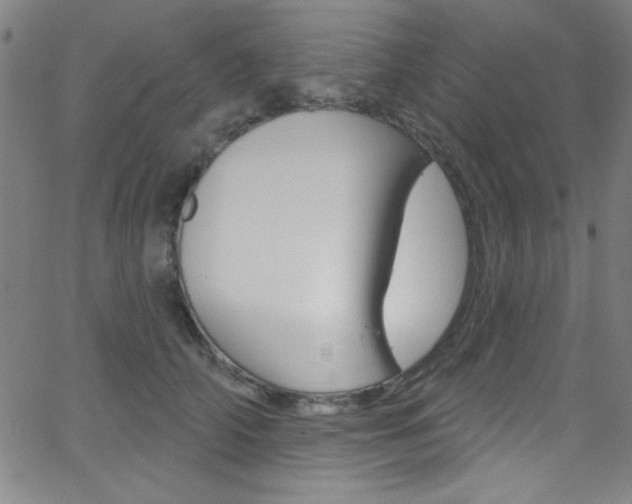 X0000068770706200604281018