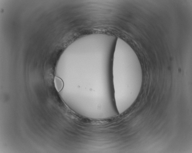 X0000068770707200604281018