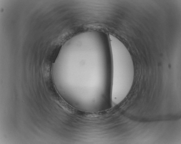 X0000068770708200604281018