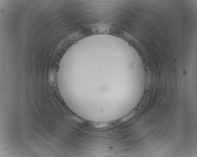 X0000068770709200604281018