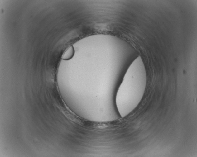 X0000068770710200604281018