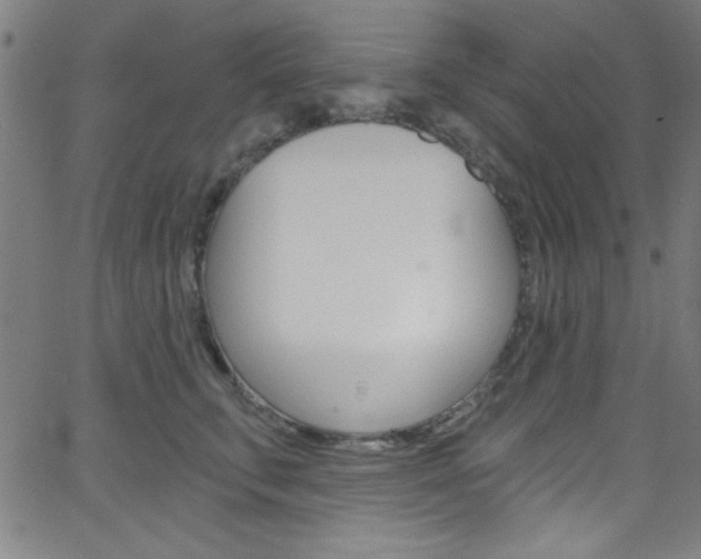 X0000068770711200604281018